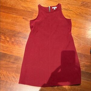 Speechless Rich Red Mini Dress